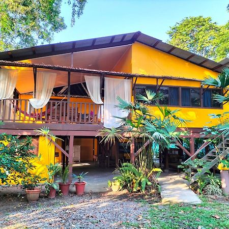 Cabinas Coconut Grove Puerto Viejo de Talamanca Buitenkant foto