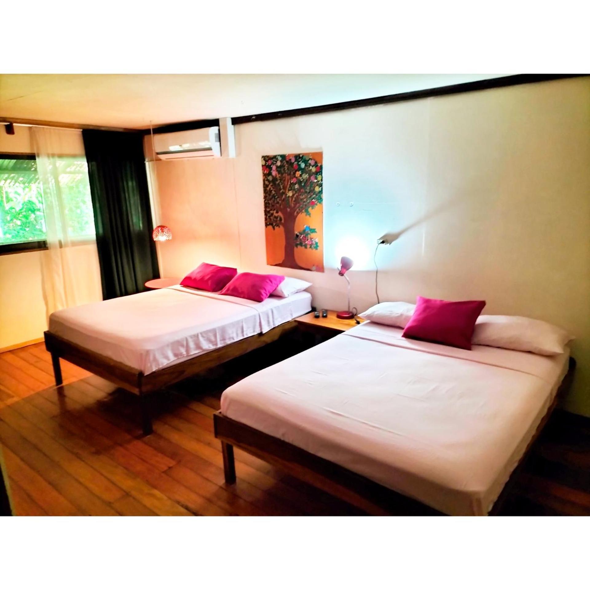 Cabinas Coconut Grove Puerto Viejo de Talamanca Buitenkant foto